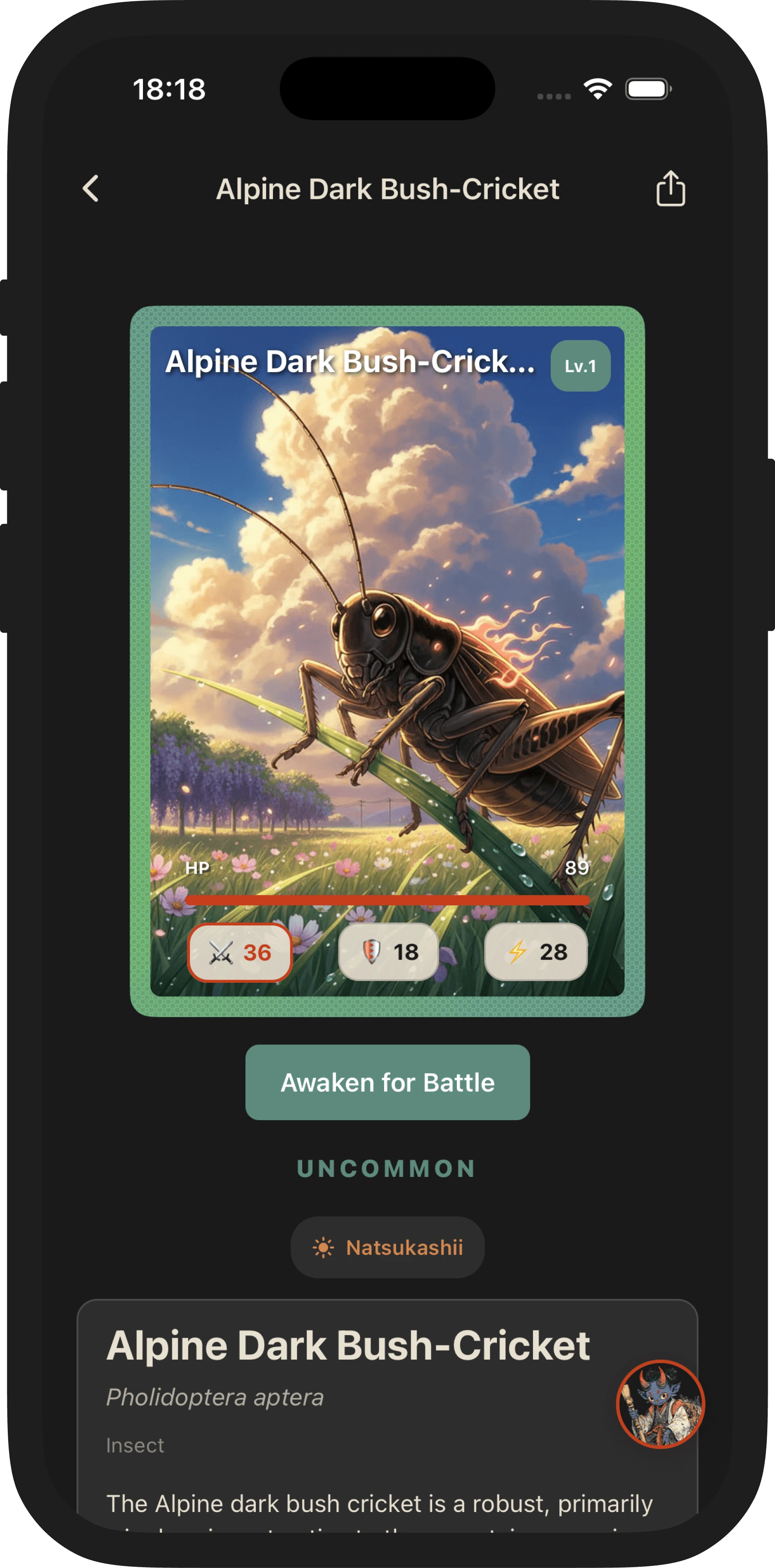 New card — repainted by Bokudjin